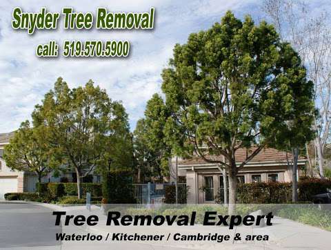 Snyder Tree Removal